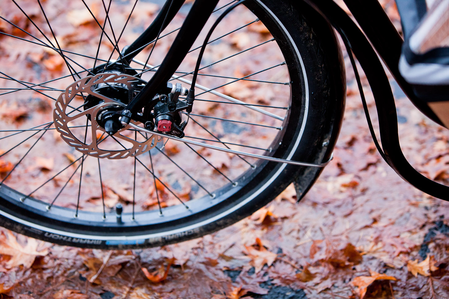 Billy's Metrofiets Cargo Bike - MetroCargo 19 Billy's Metrofiets Cargo Bike - MetroCargo 19