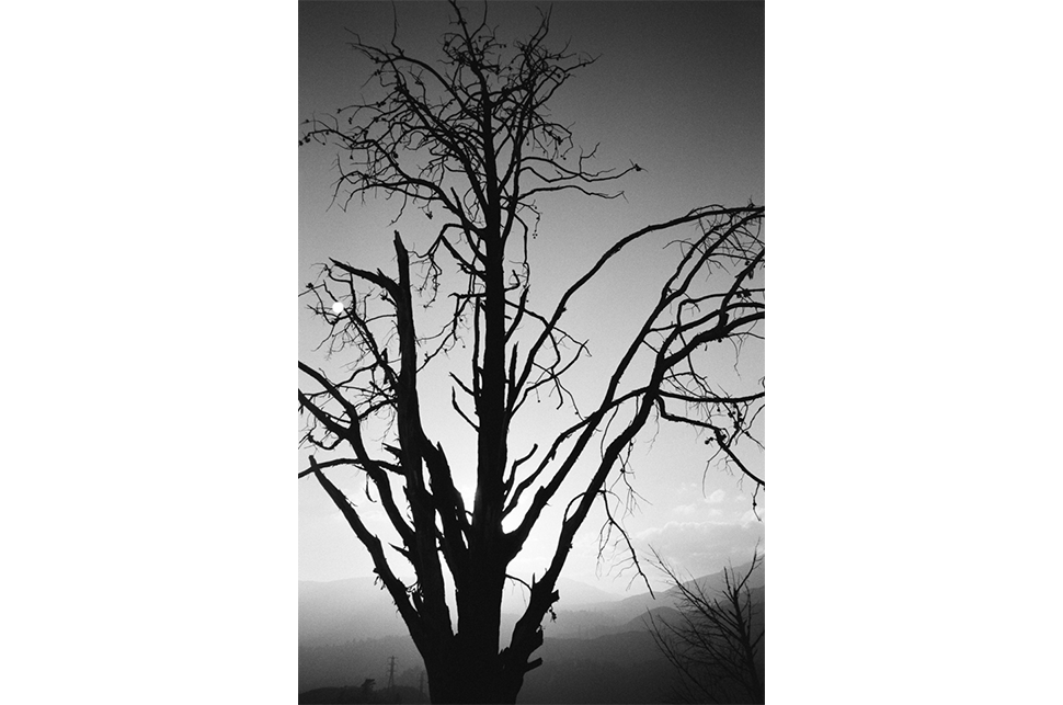 #NatureIsMetal