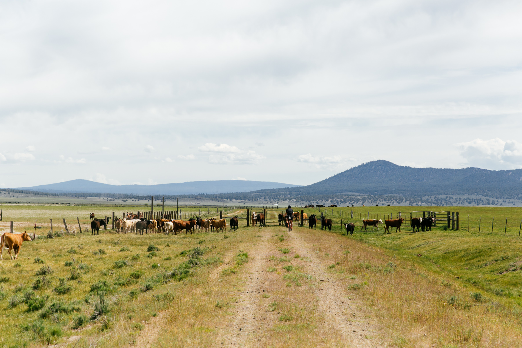 Railroad Spikes and Shotgun Shells: AWOL on the Oregon Outback – Day 01 ...