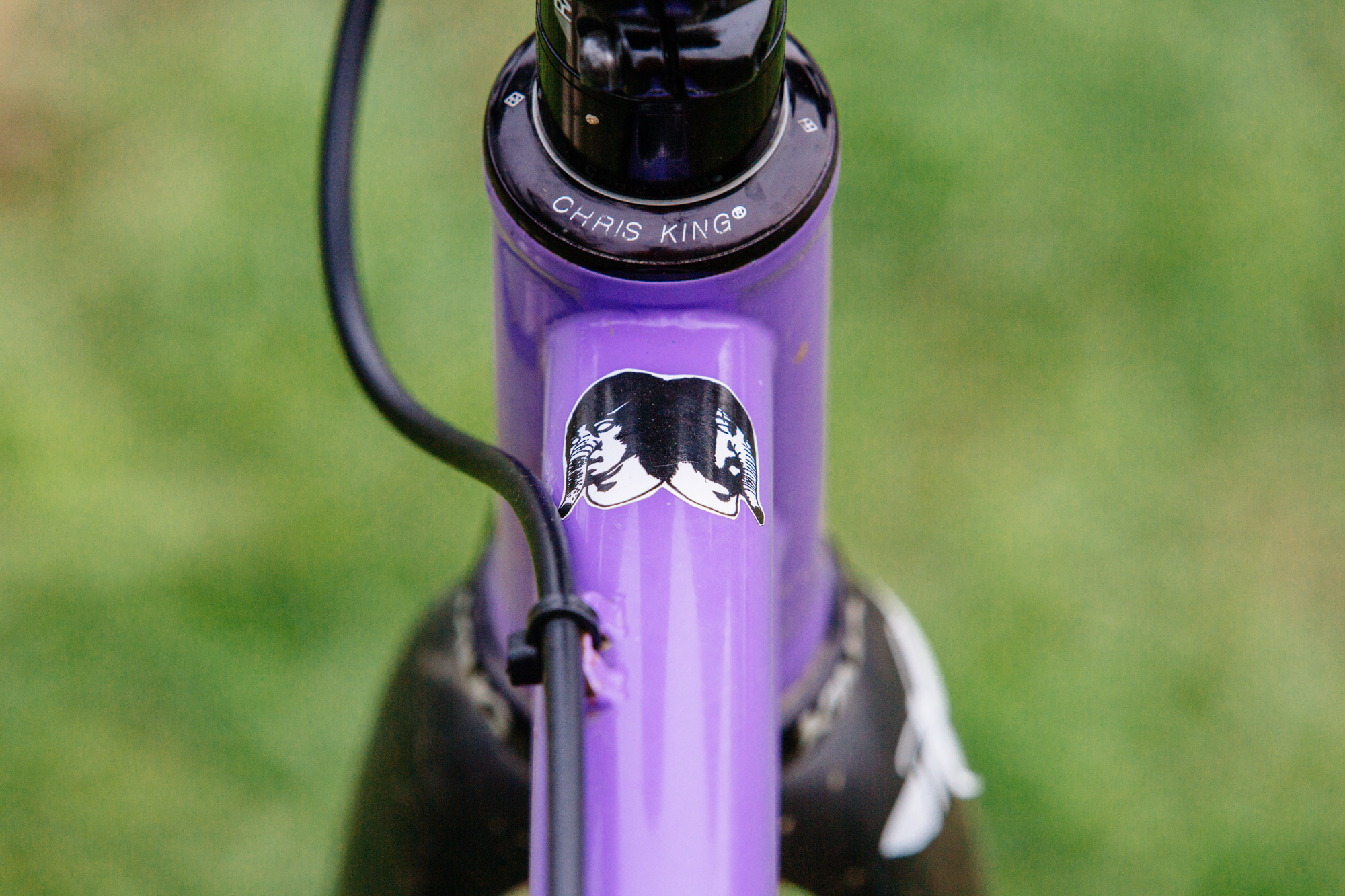 Ryan's Rock Lobster Singlespeed Belt 'Cross – John Watson