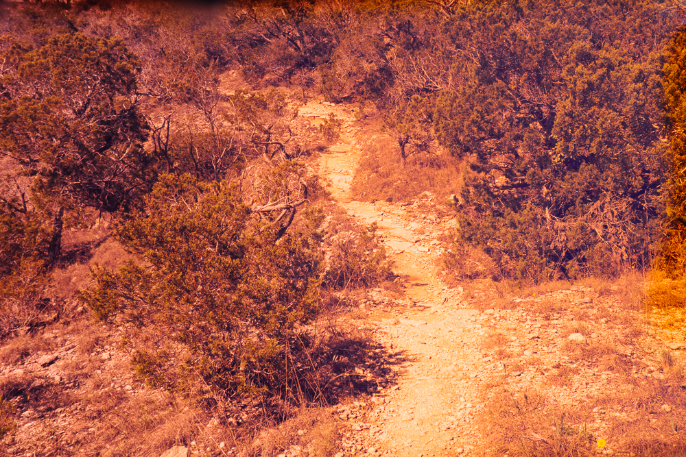 Oakley's Prizm Trail Radarlock Path | The Radavist | A group of