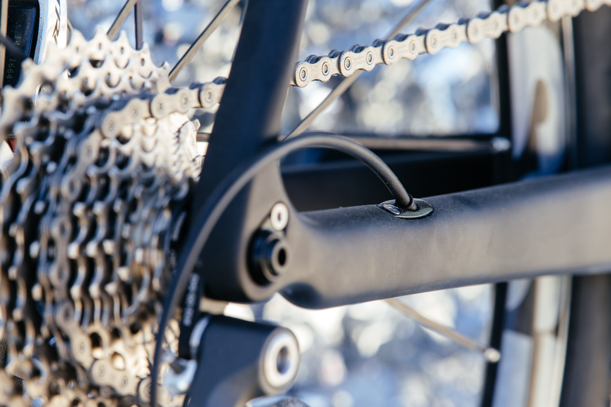 Raleigh Introduces the Roker Carbon All Road Disc Bike | The Radavist ...