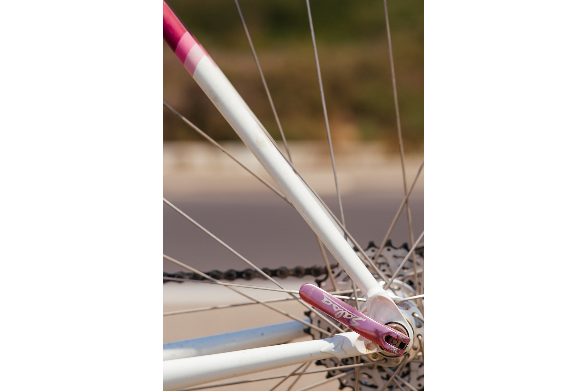 Groupe Campagnolo Athena - Équipements vélos Groupe Campagnolo Athena - Équipements vélos