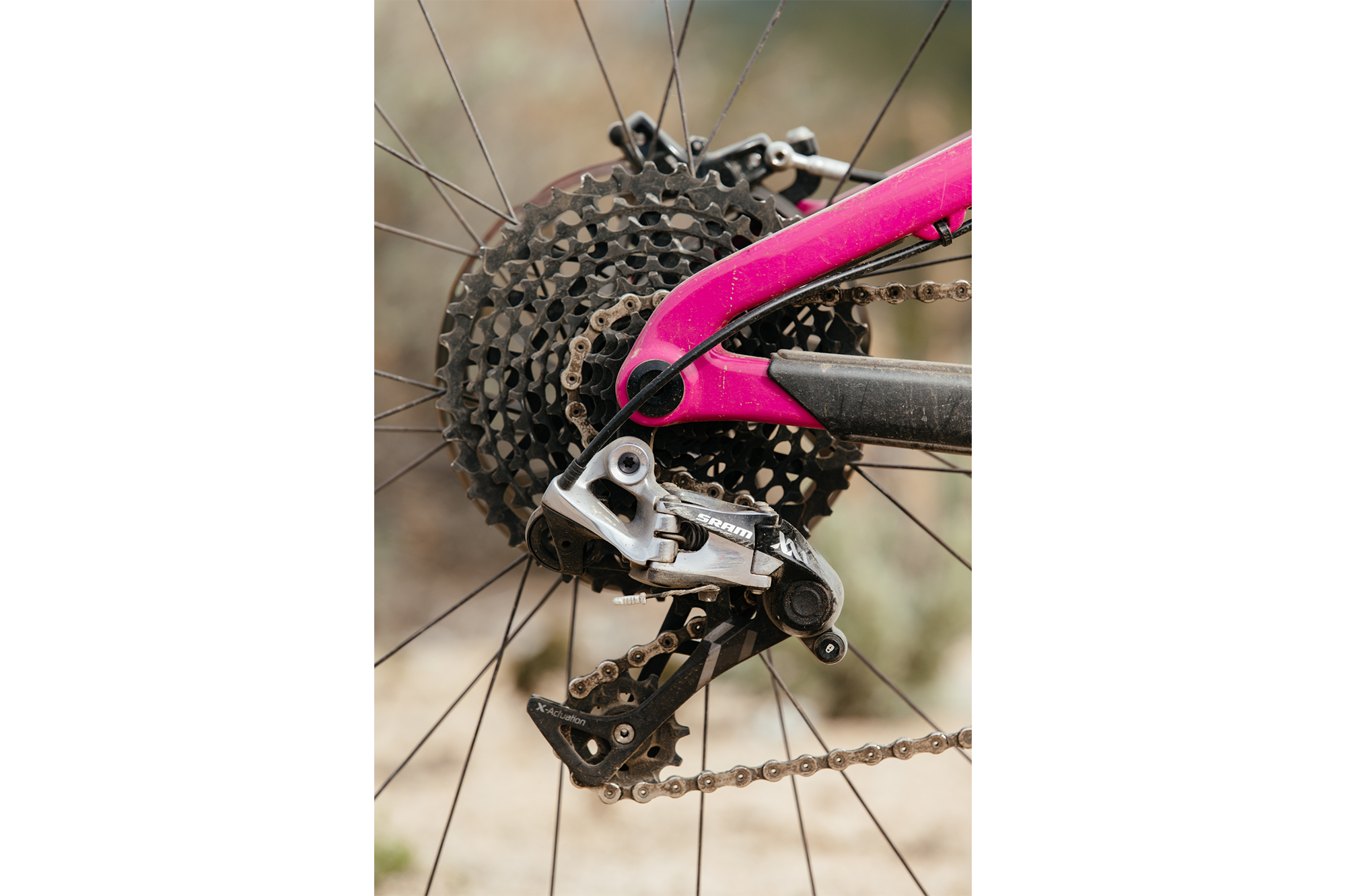 Santa cruz bronson 2024 kalimotxo