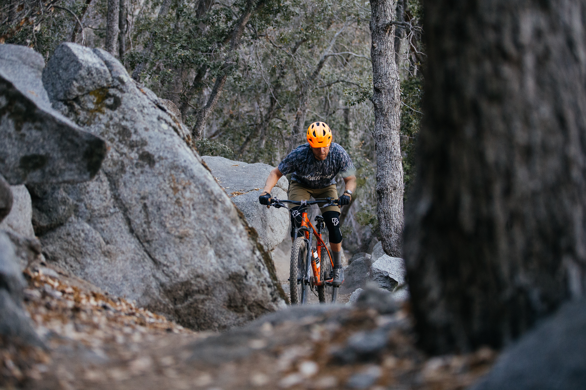 Buck Ritchey Bang for Your Buck: the Ritchey Timberwolf 27.5 Hardtail MTB – John ...