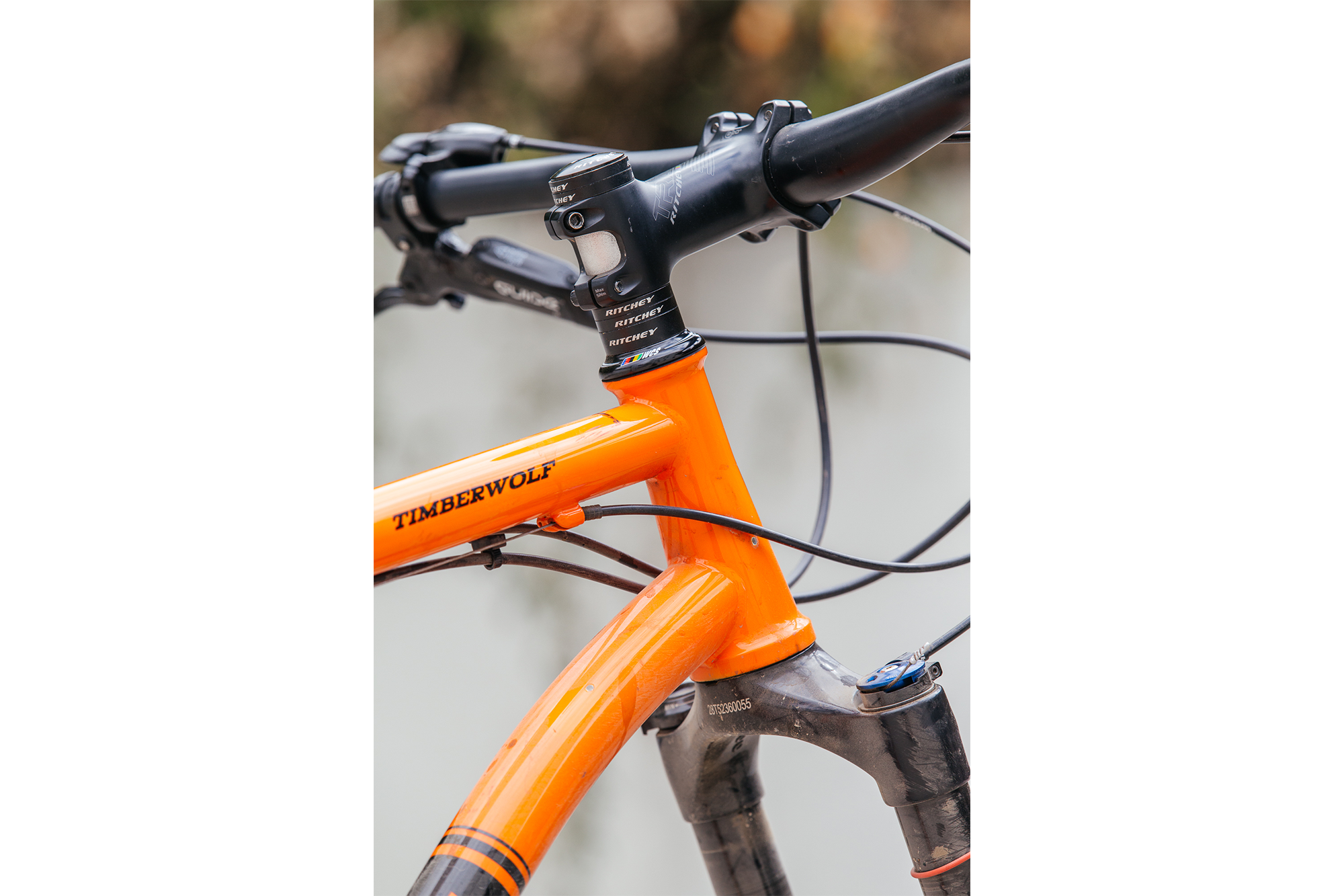 Ritchey timberwolf review sales
