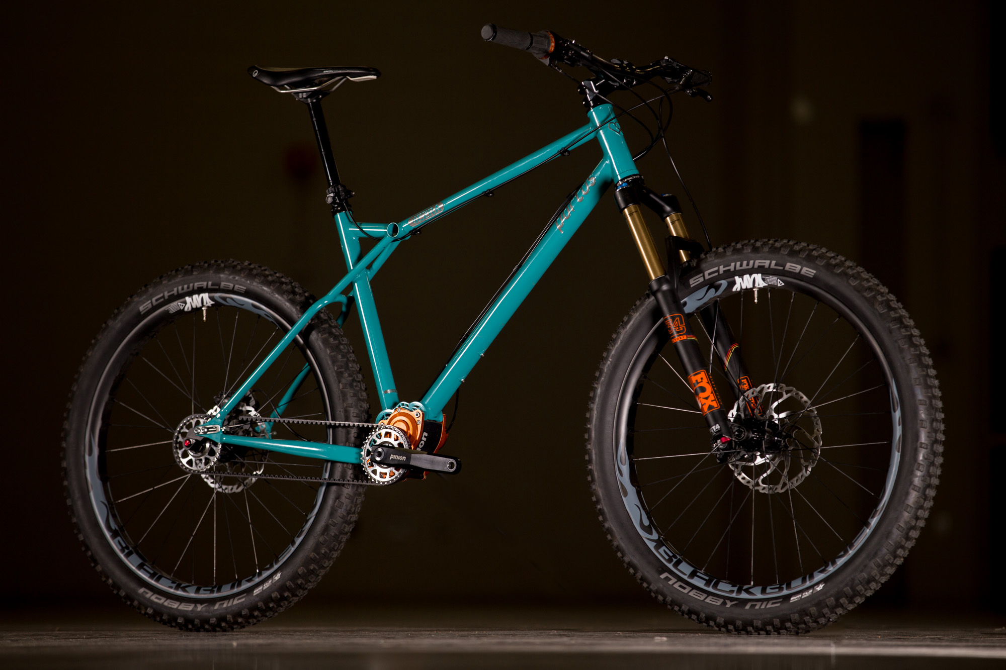 pinion hardtail