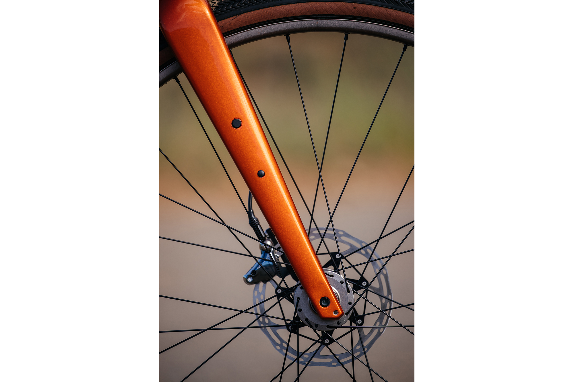 The Jim Merz Edition Specialized Sequoia John Watson The