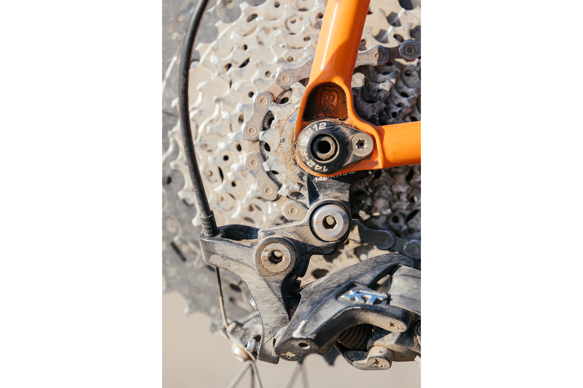 Ritchey online timberwolf radavist