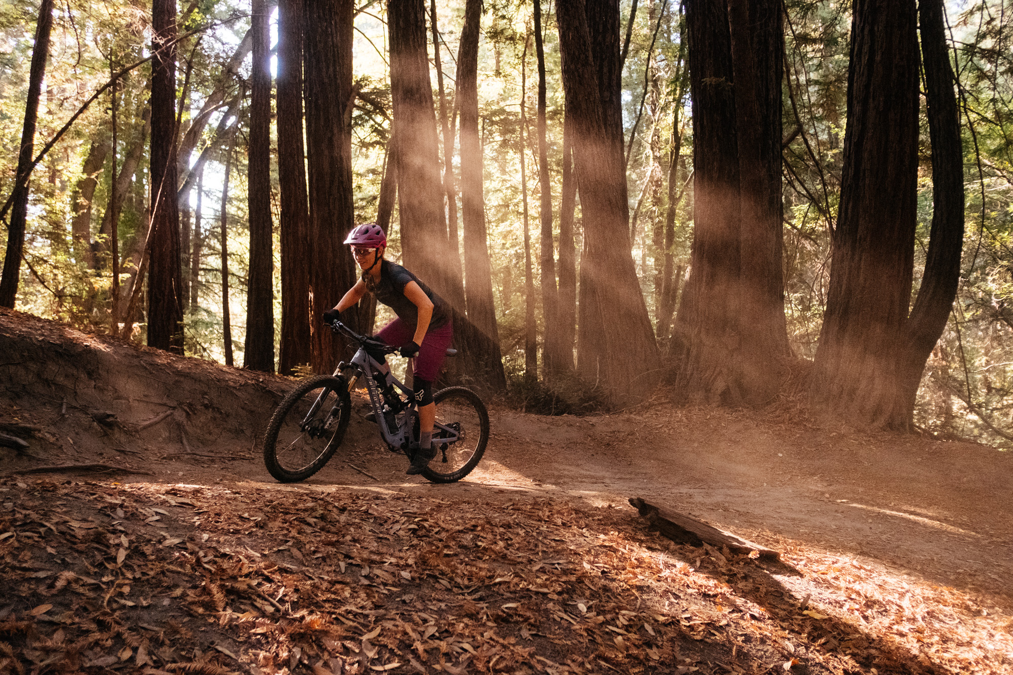 ucsc mountain bike trails