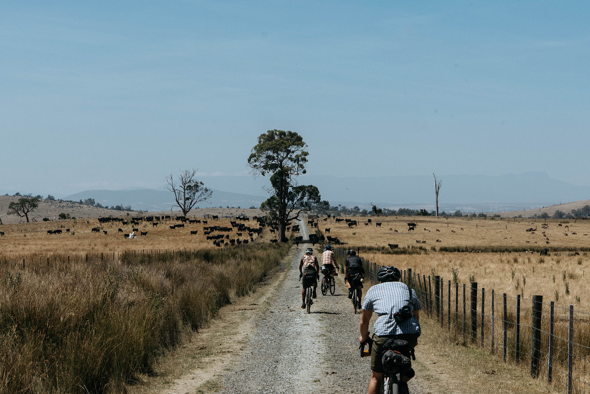 Craft in Tasmania – Joe Cruz and Scott Mattern – John Watson | The ...