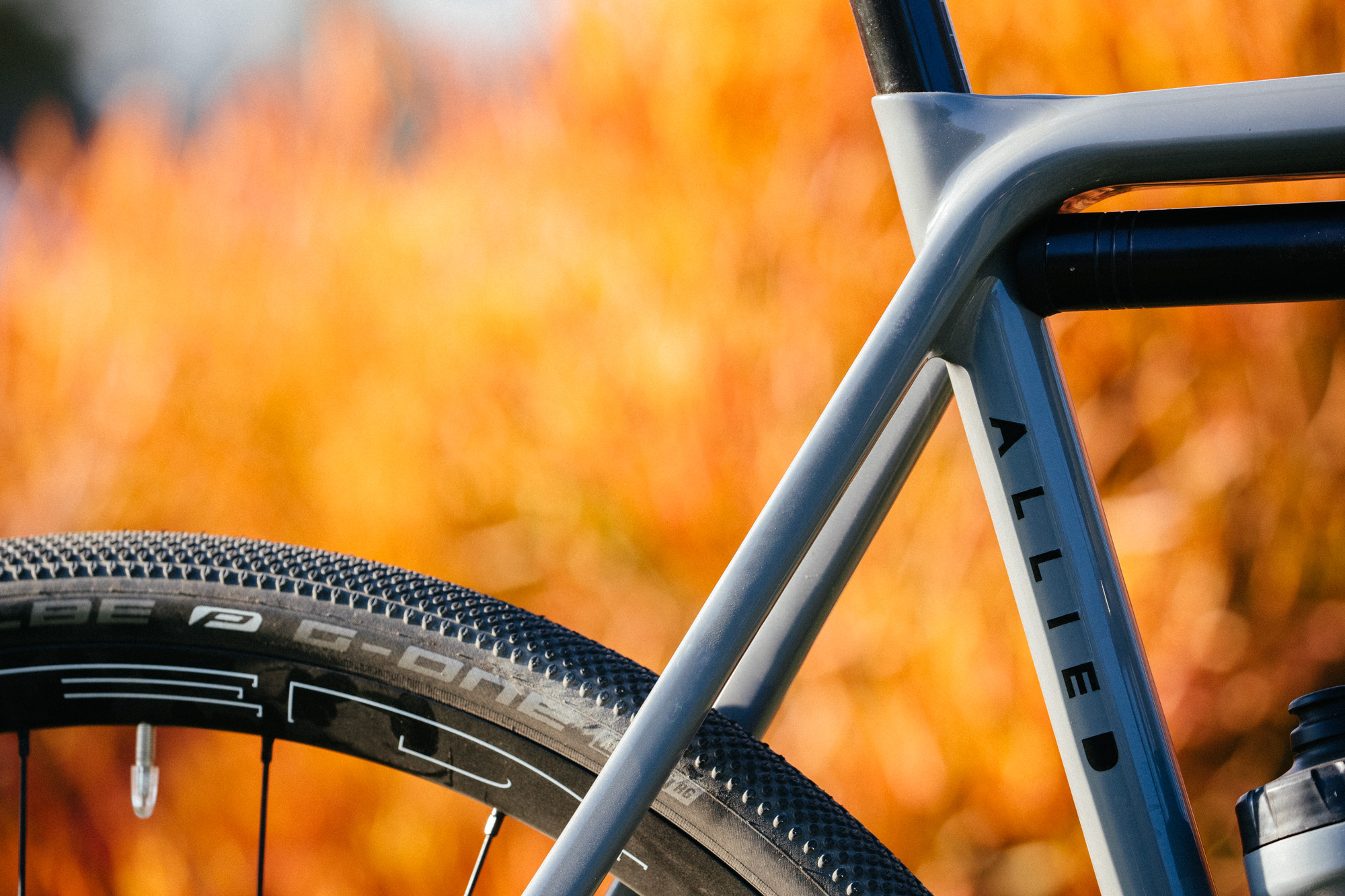 Carbon Artistry and the Allied Alfa Disc AllRoad Bike John Watson