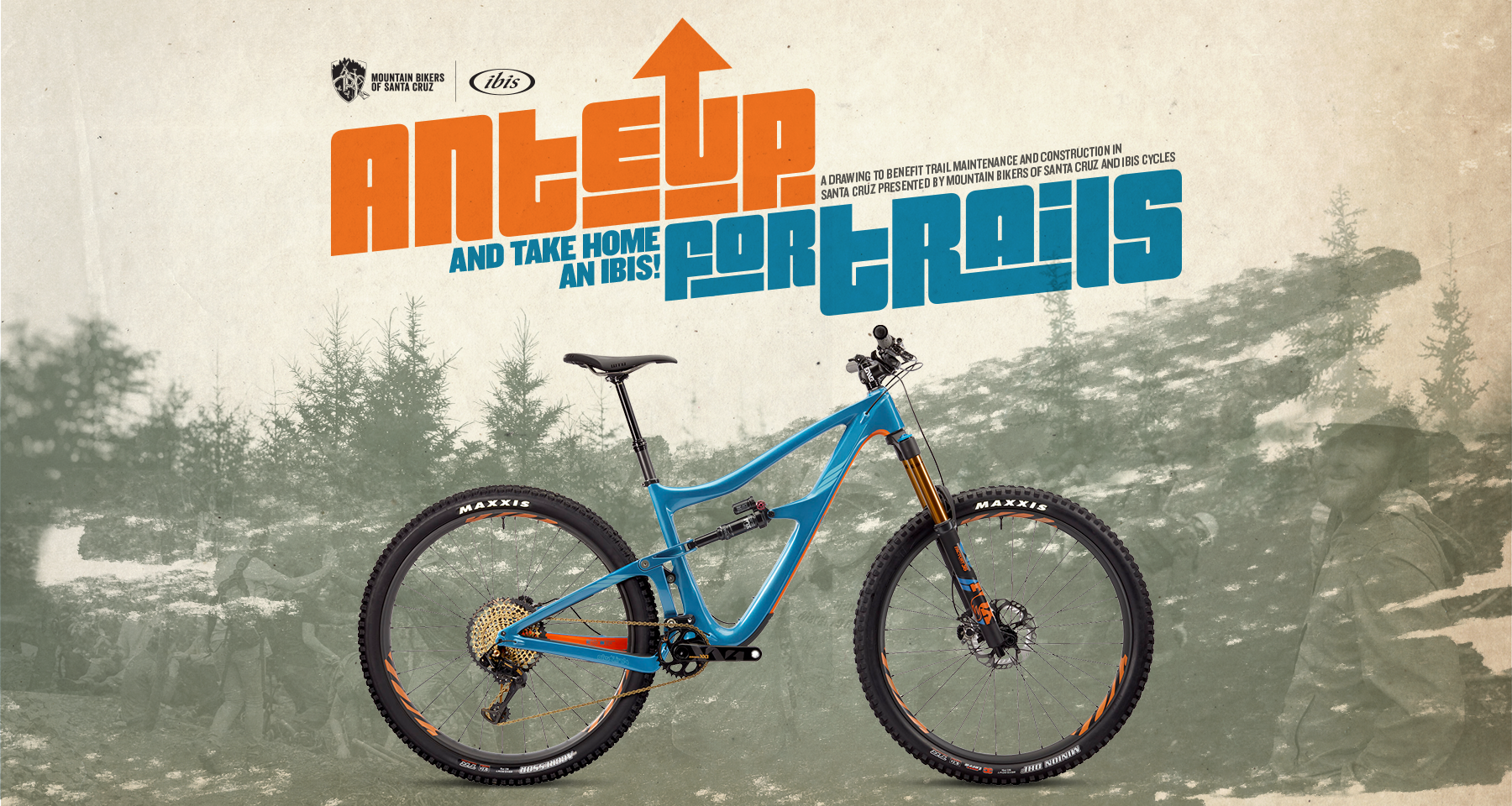 Ibis bikes santa cruz hotsell