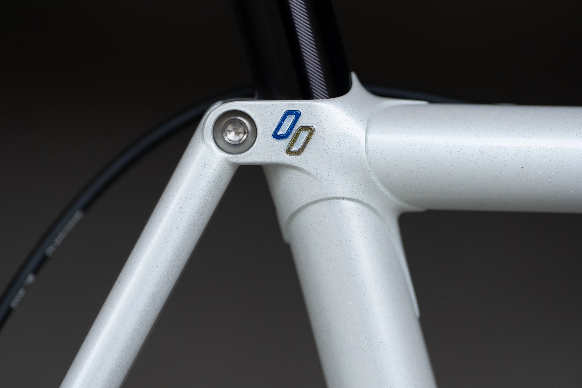 2018 Philly Bike Expo: Bishop Bikes Samson Lugged Classic Road