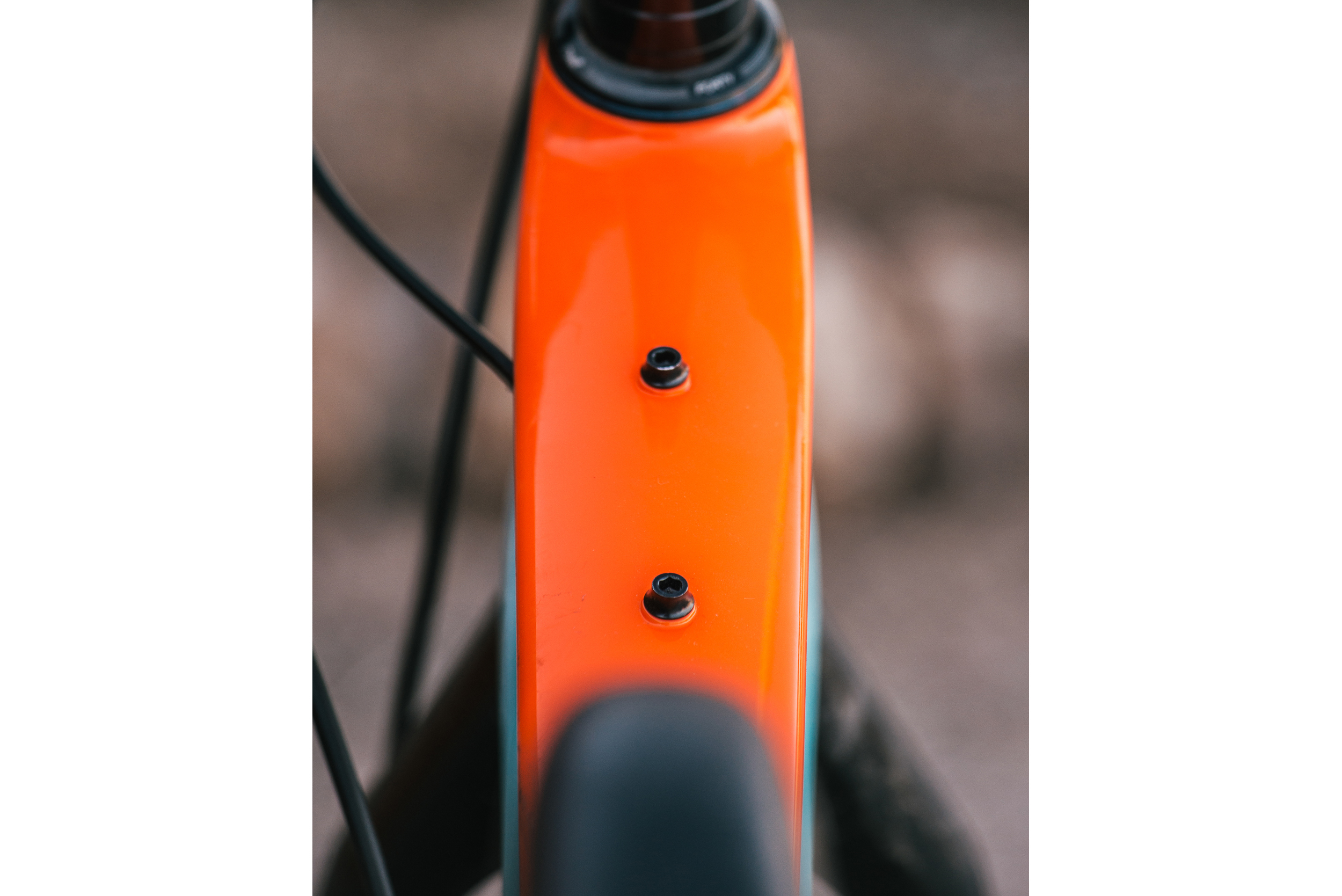 2019 Salsa Cutthroat Review: Much More Than a Tour Divide Rig – Spencer ...