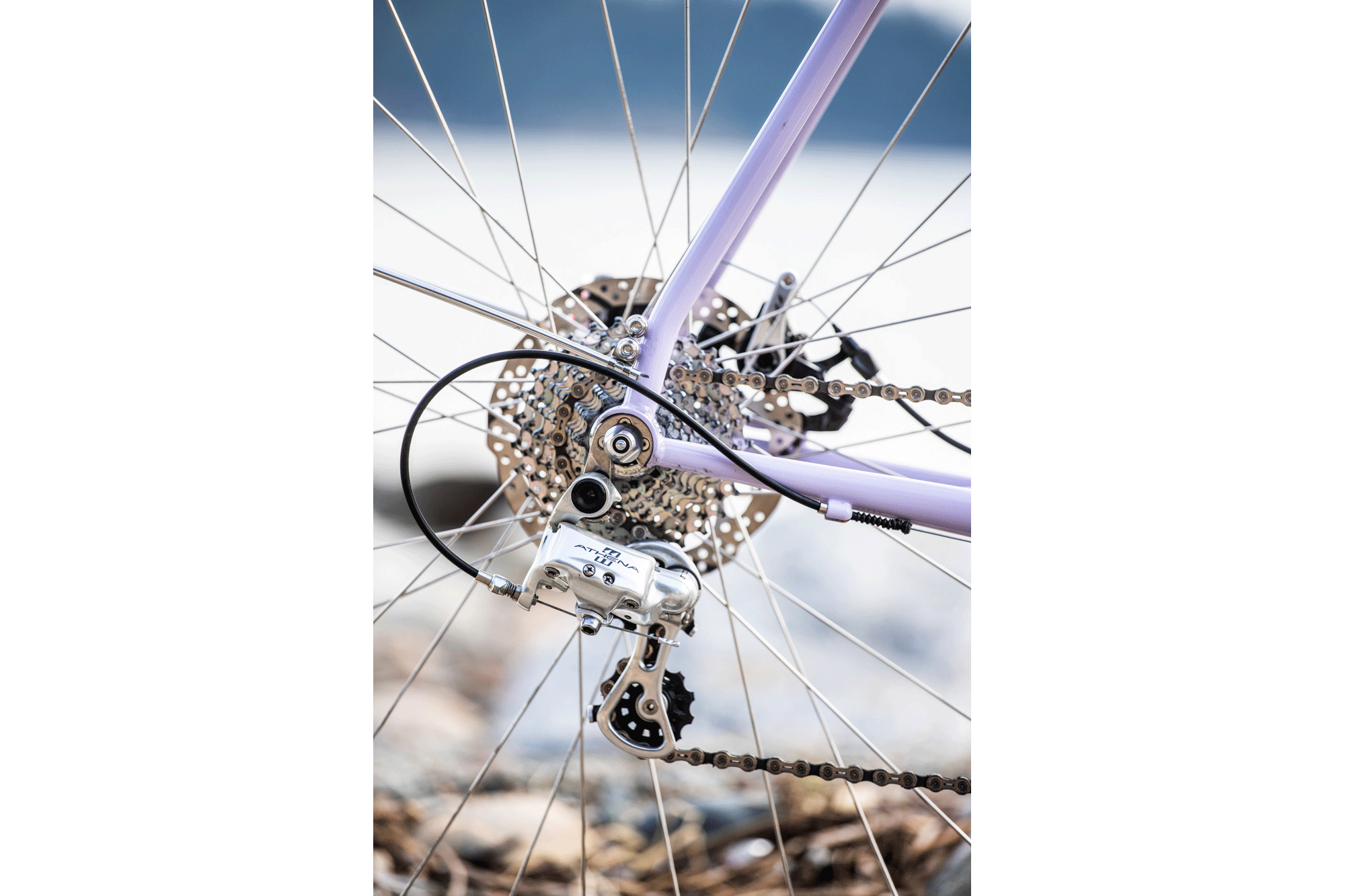 Lilac Dreams and the Velo Orange Polyvalent Taylor