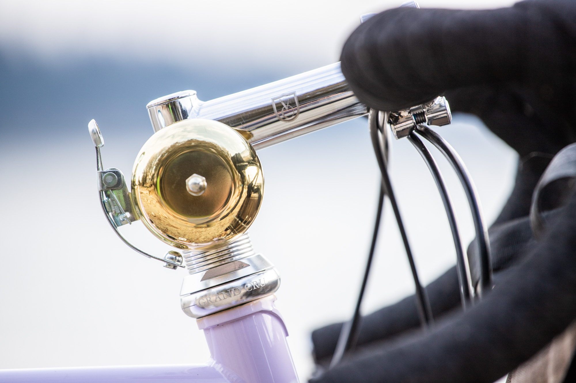 Lilac Dreams and the Velo Orange Polyvalent Taylor