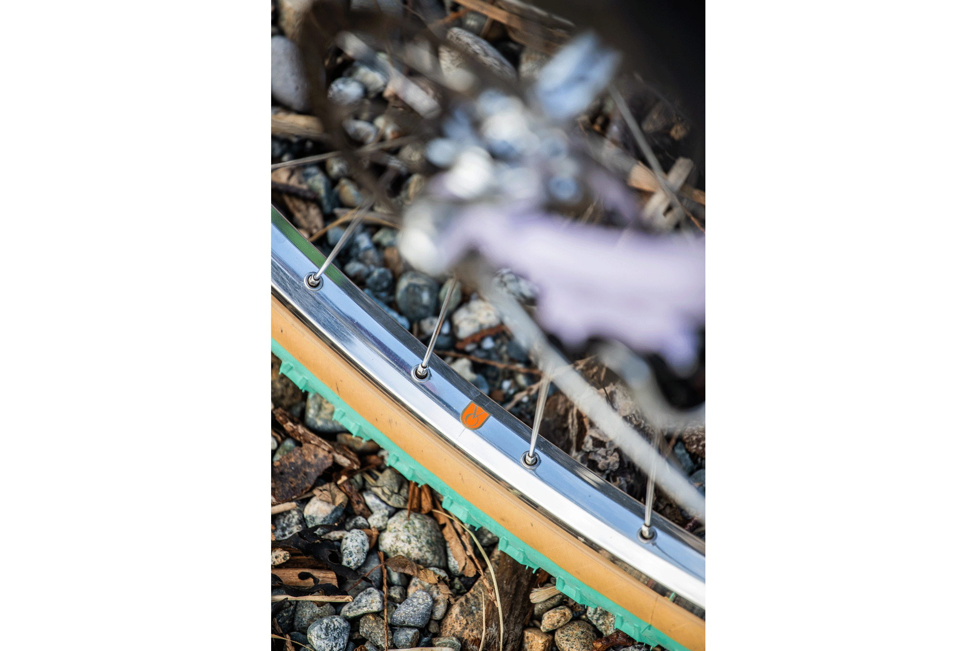 Lilac Dreams and the Velo Orange Polyvalent Taylor