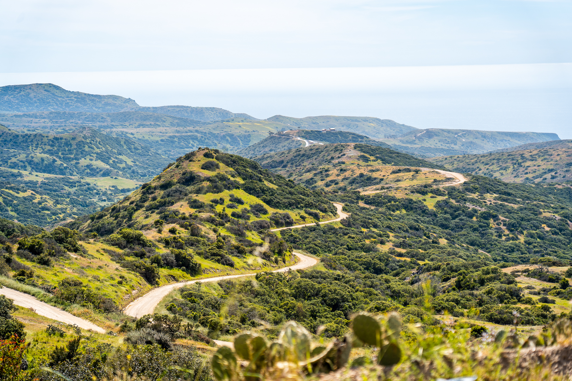 Escape To Santa Catalina Island Joshua Weinberg Amp Steven