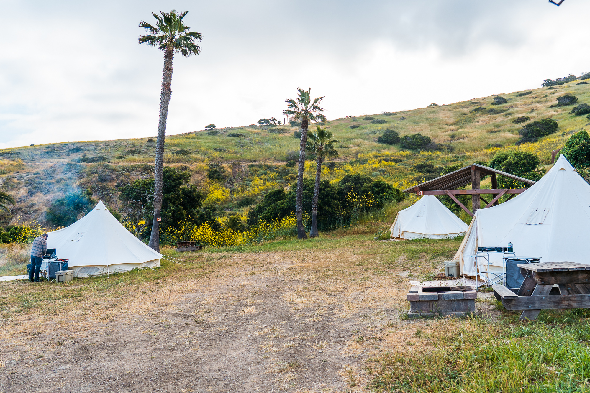 Escape To Santa Catalina Island Joshua Weinberg Amp Steven
