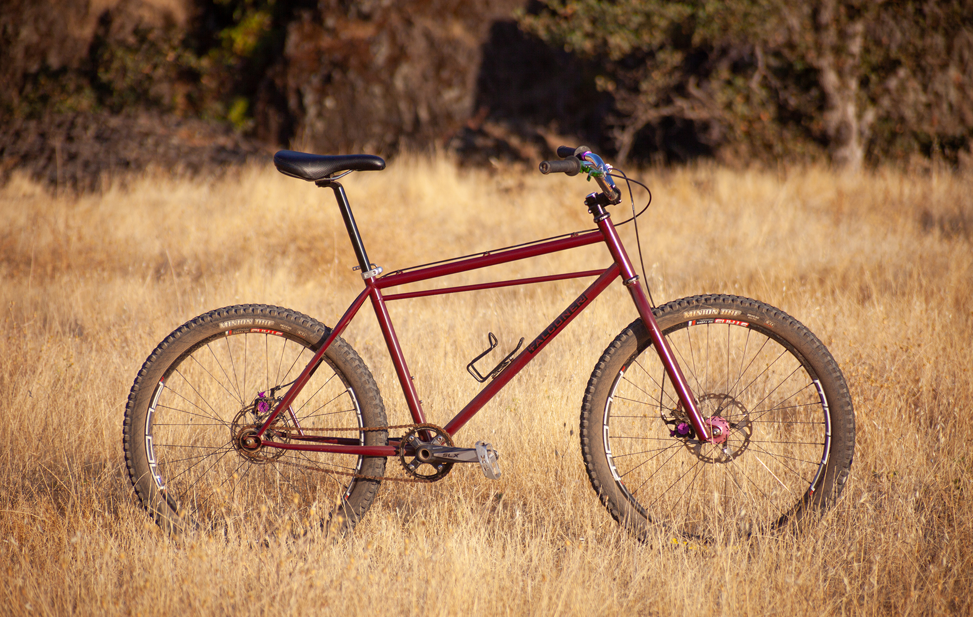 Jeremiah’s Falconer Champion Tribute Bike California Travis The