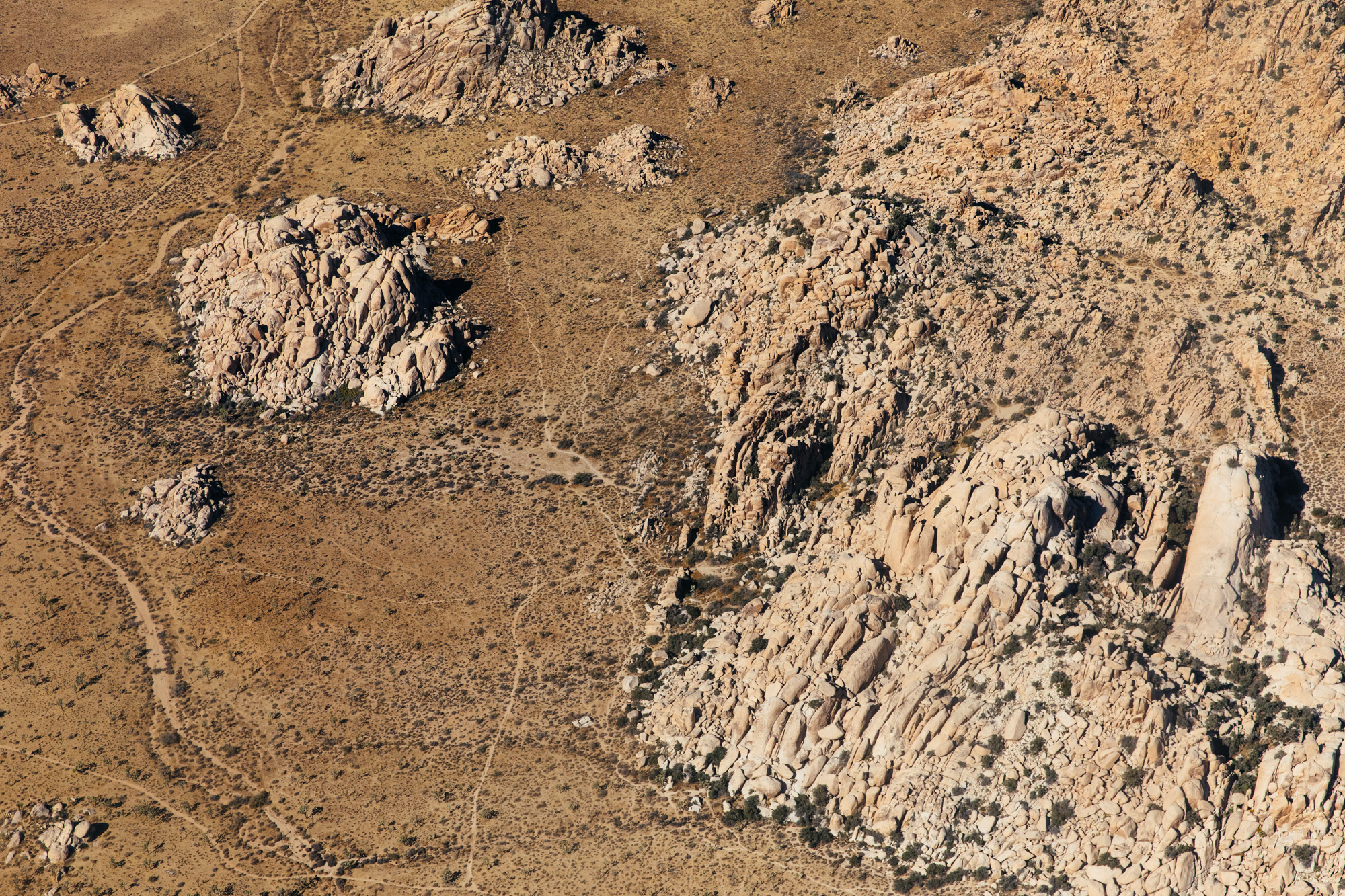 Celebrating the 25th Anniversary of the California Desert Protection