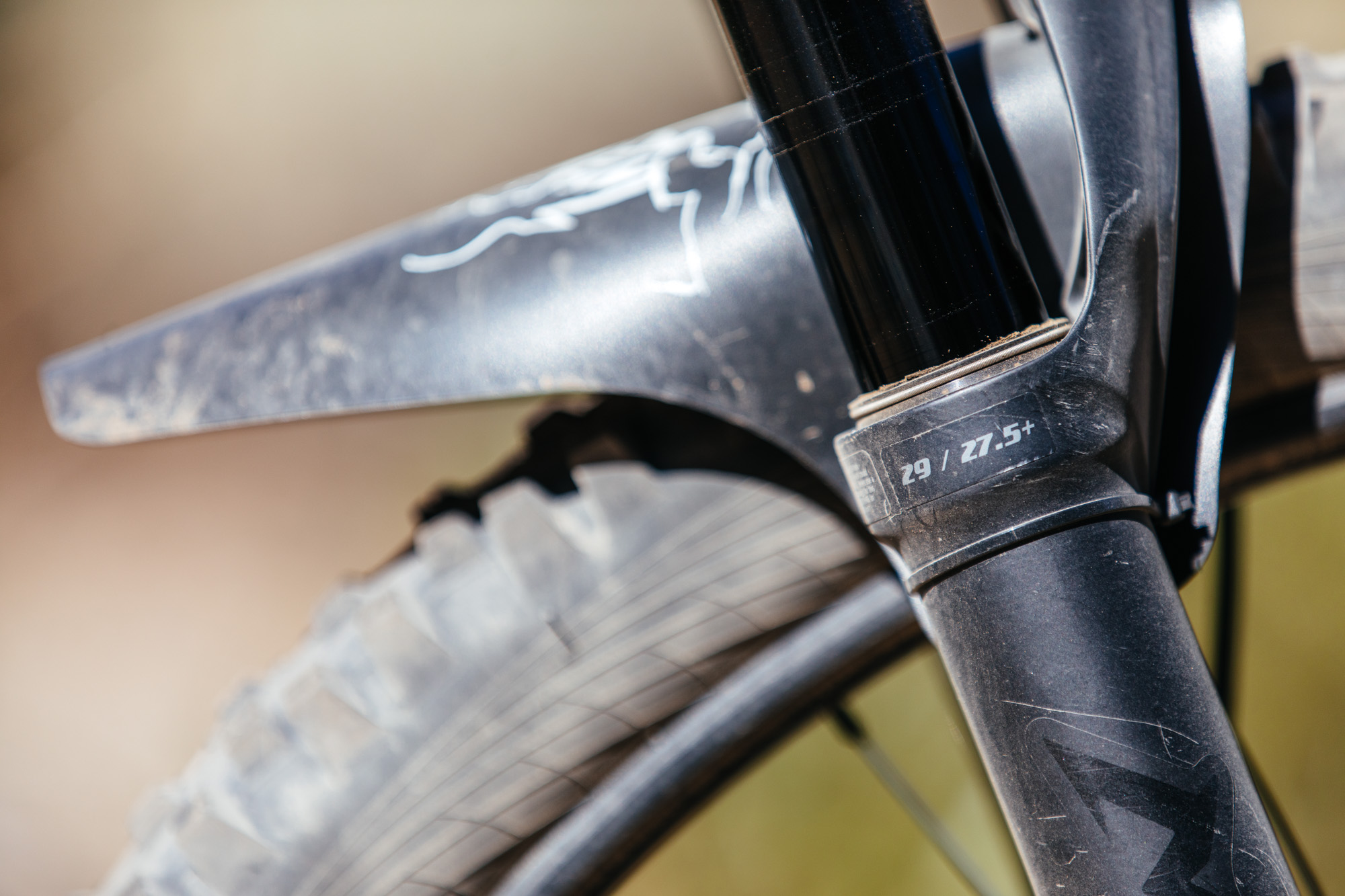 zipp 29er wheels