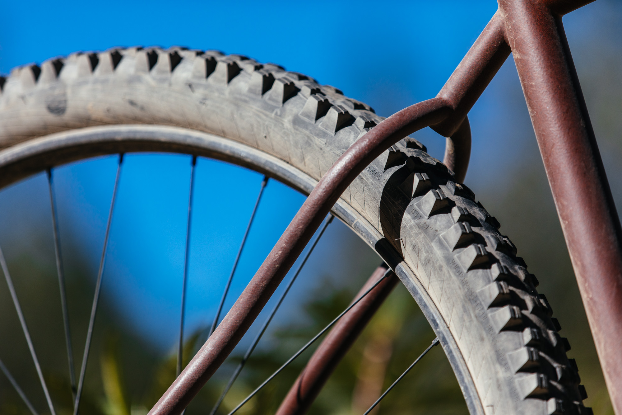 zipp 29er wheels