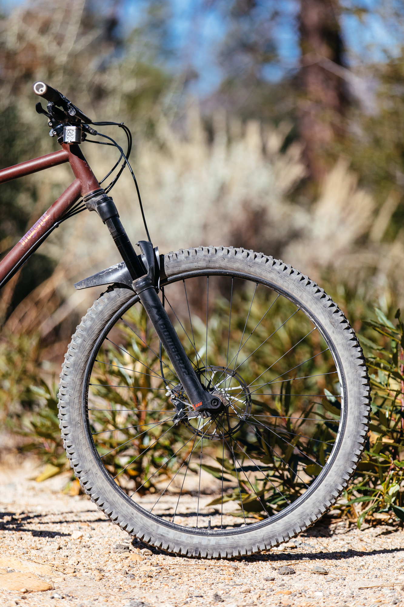 zipp 29er wheels