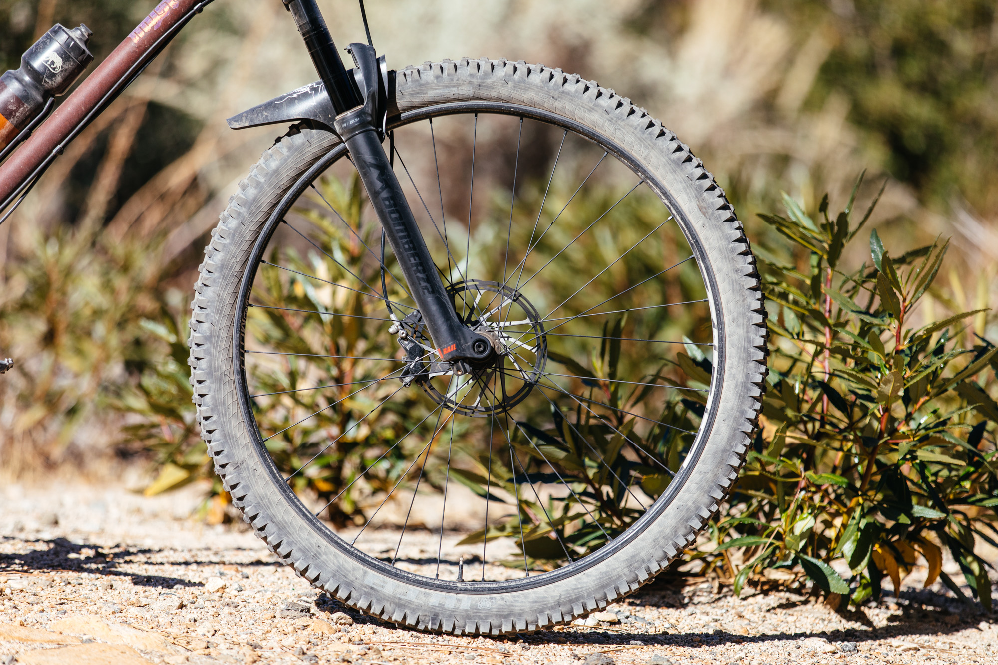 zipp 29er wheels