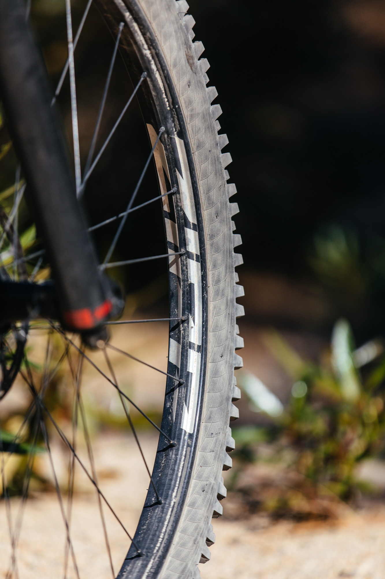 Believe the Hype Hardtail Riding with the Zipp 3ZERO MOTO 29er Wheels