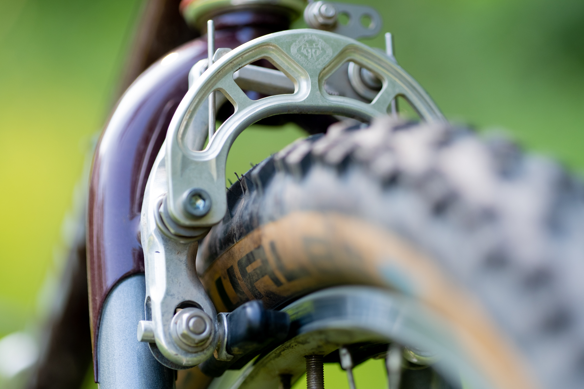 Wilderness Trail Bikes Phoenix (WTB) Second Spin Martin Kozaczek