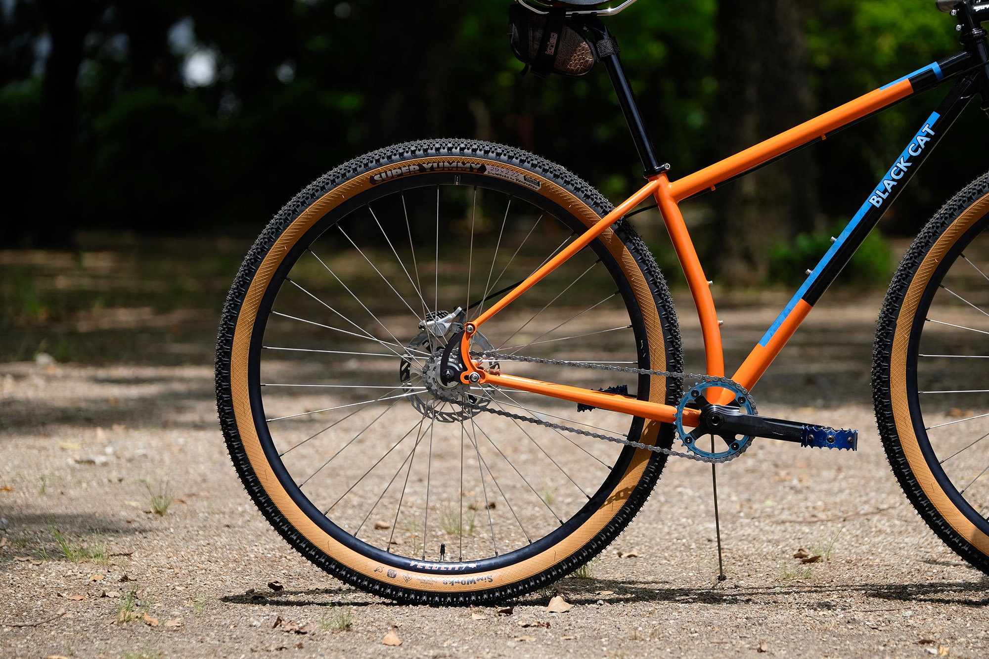 Sim Works: Super Yummy 29 x 2.2 Tires and a Special Build by Black