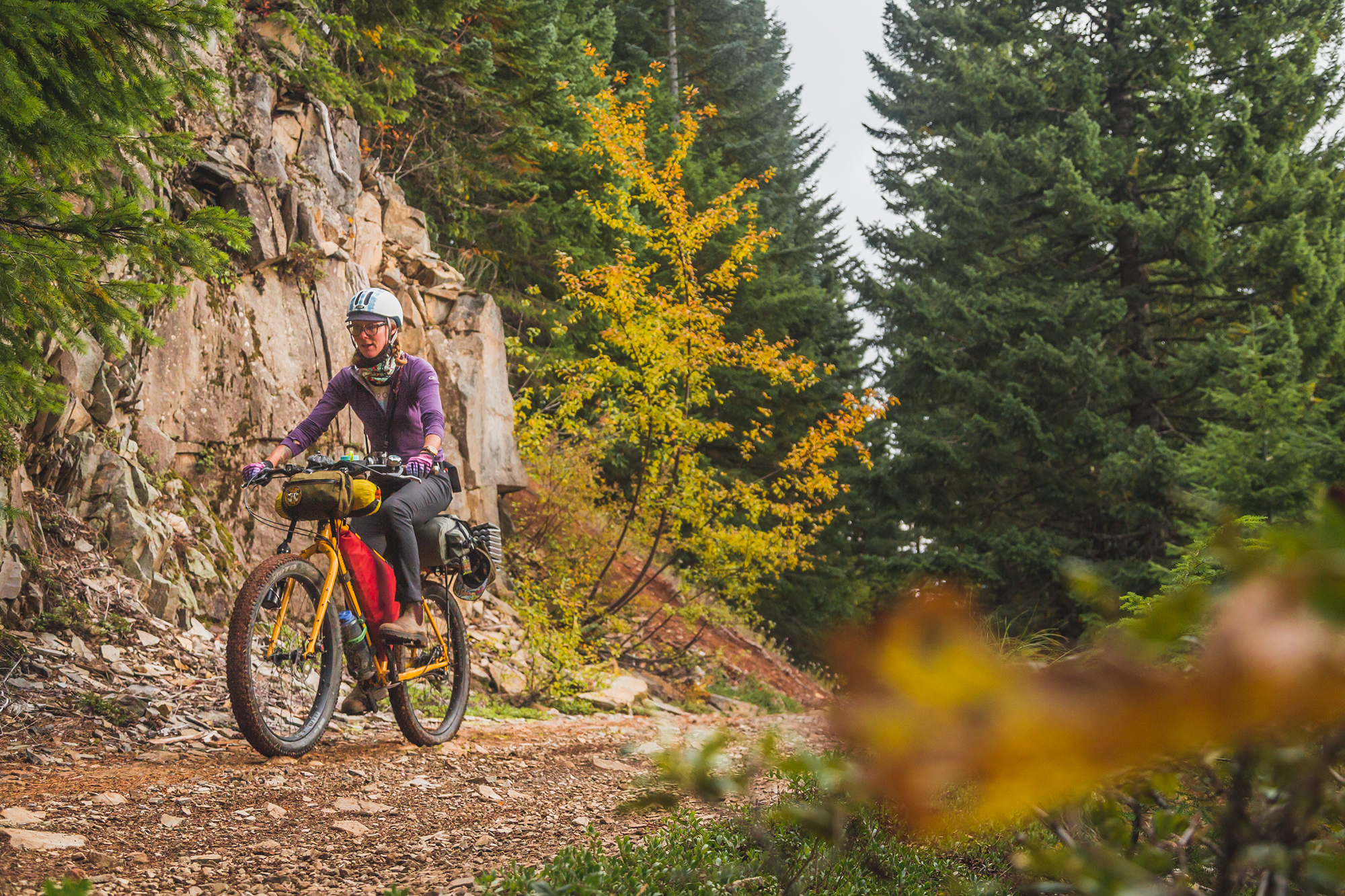 Race the Oregon Timber Trail Register and Join in on July 10th Gabe Tiller The Radavist A