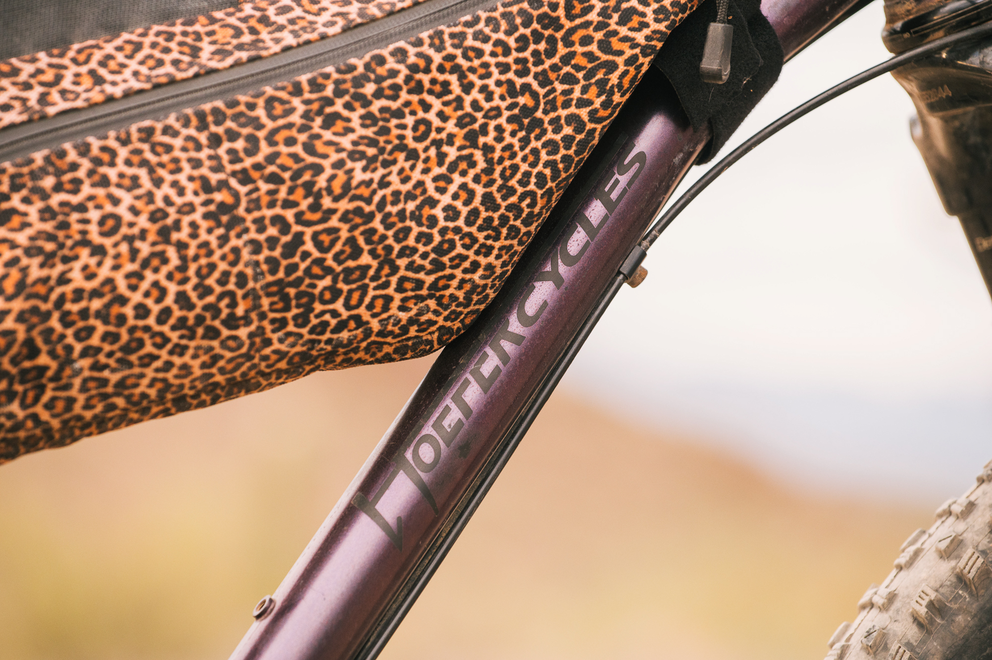 Ally’s Hoefer Cycles Custom 29er Hardtail Bikepacking Rig – Spencer ...