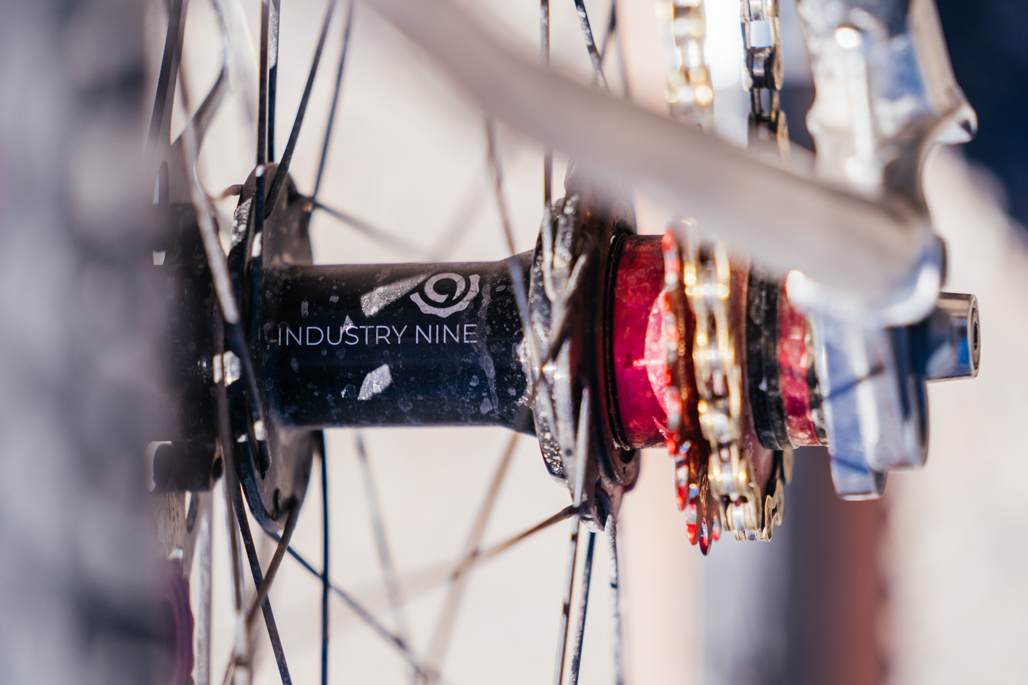 Matt’s Why Cycles El Jefe Singlespeed 29er with Paul Components 30th ...