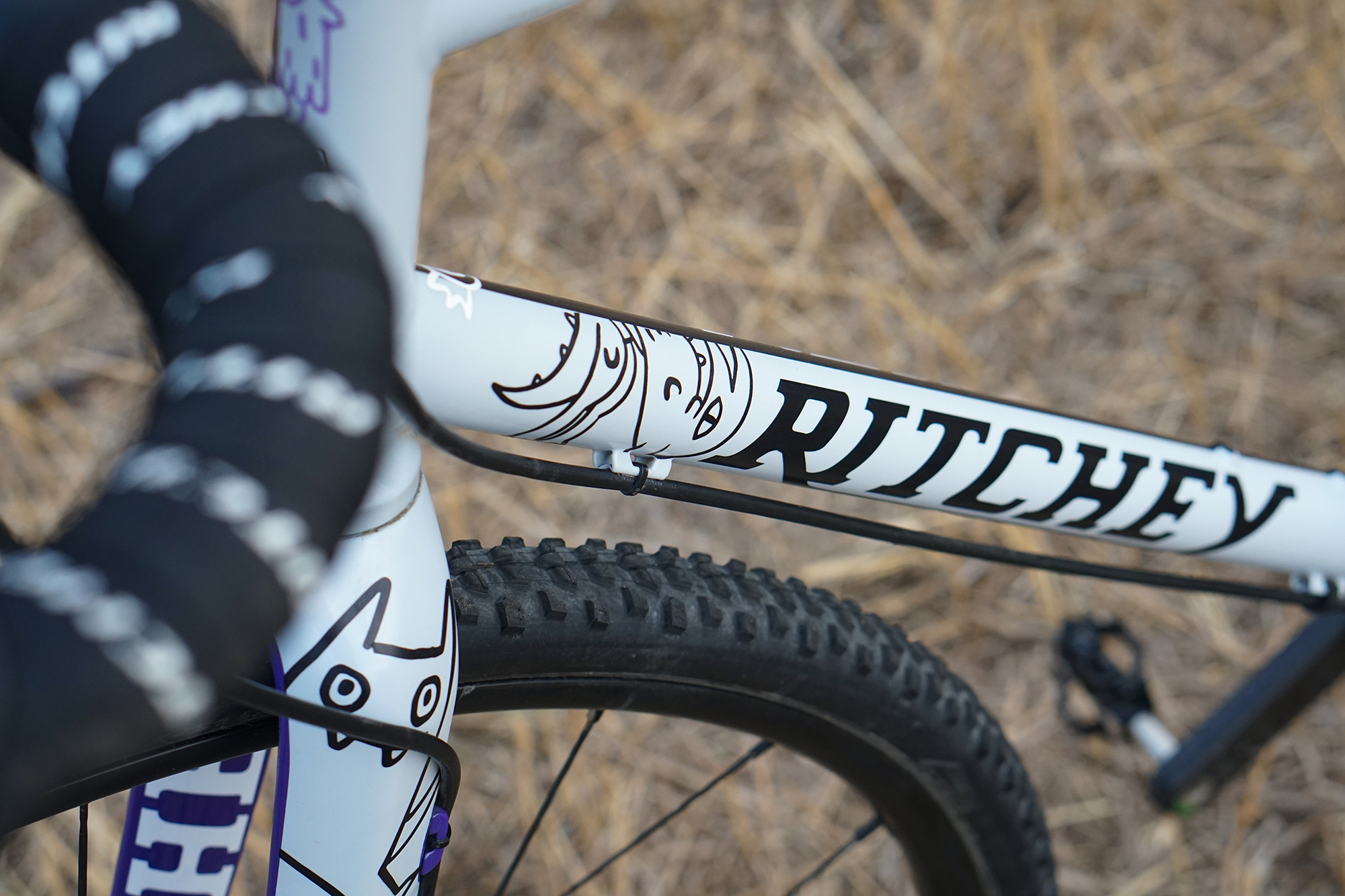 Ben Frederick's Ritchey Swiss Cross Disc and Love Your Brain