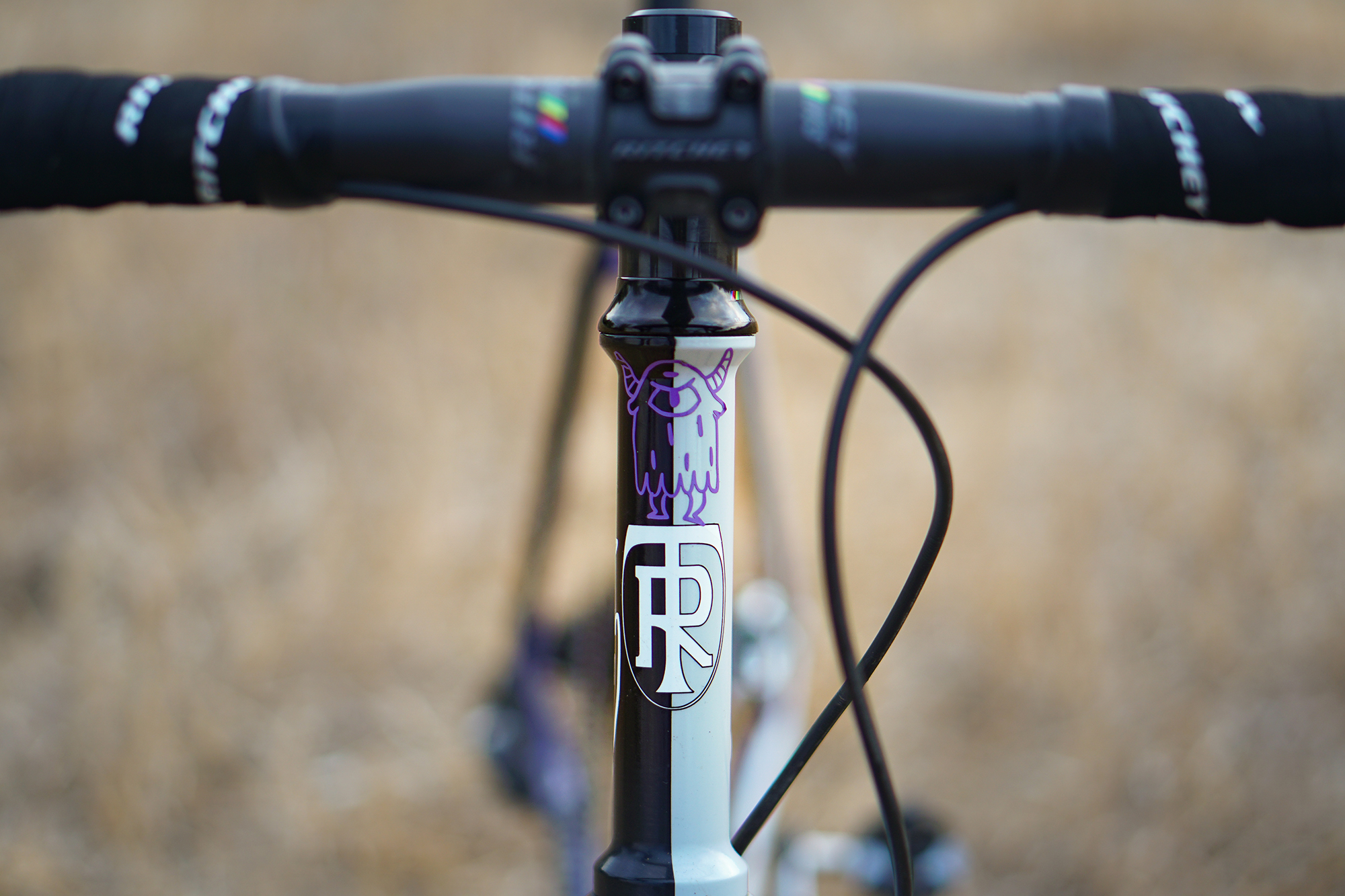 Ben Frederick's Ritchey Swiss Cross Disc and Love Your Brain