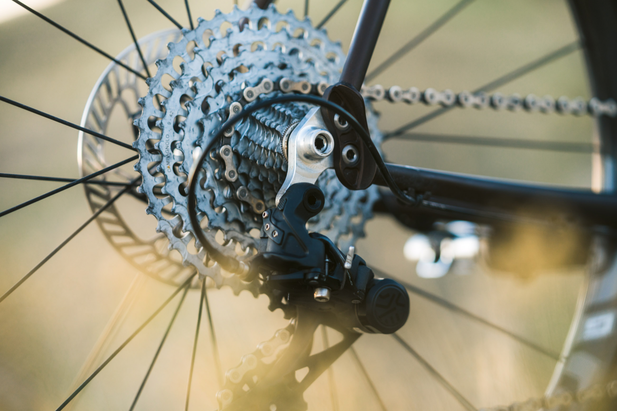 Pine Cycles Launches with its Versatile Rasa Frame and 26″, 650b, and ...
