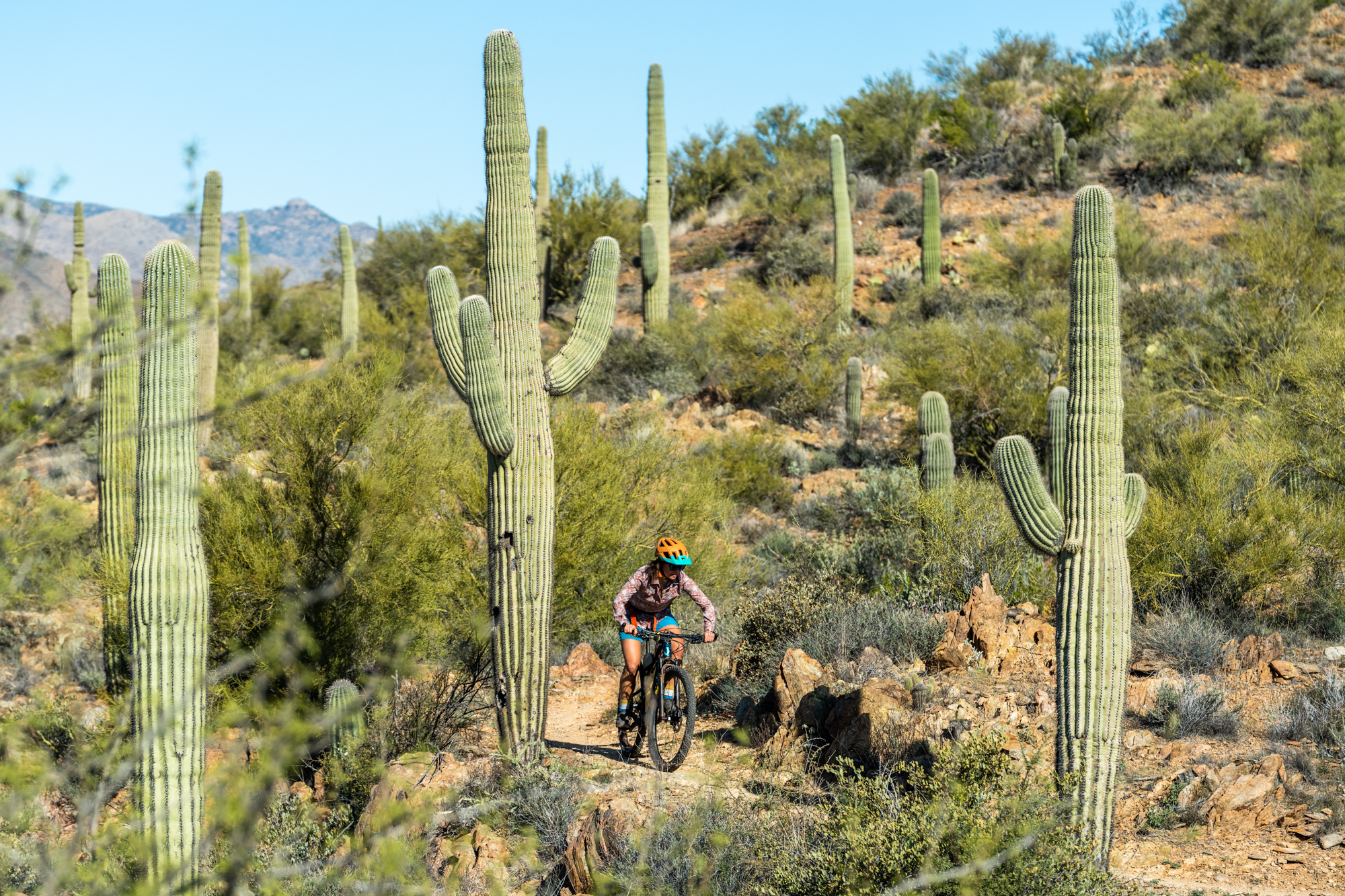 Pedaling Through Trauma How Chase Edwards Set the 800mile AZT Record