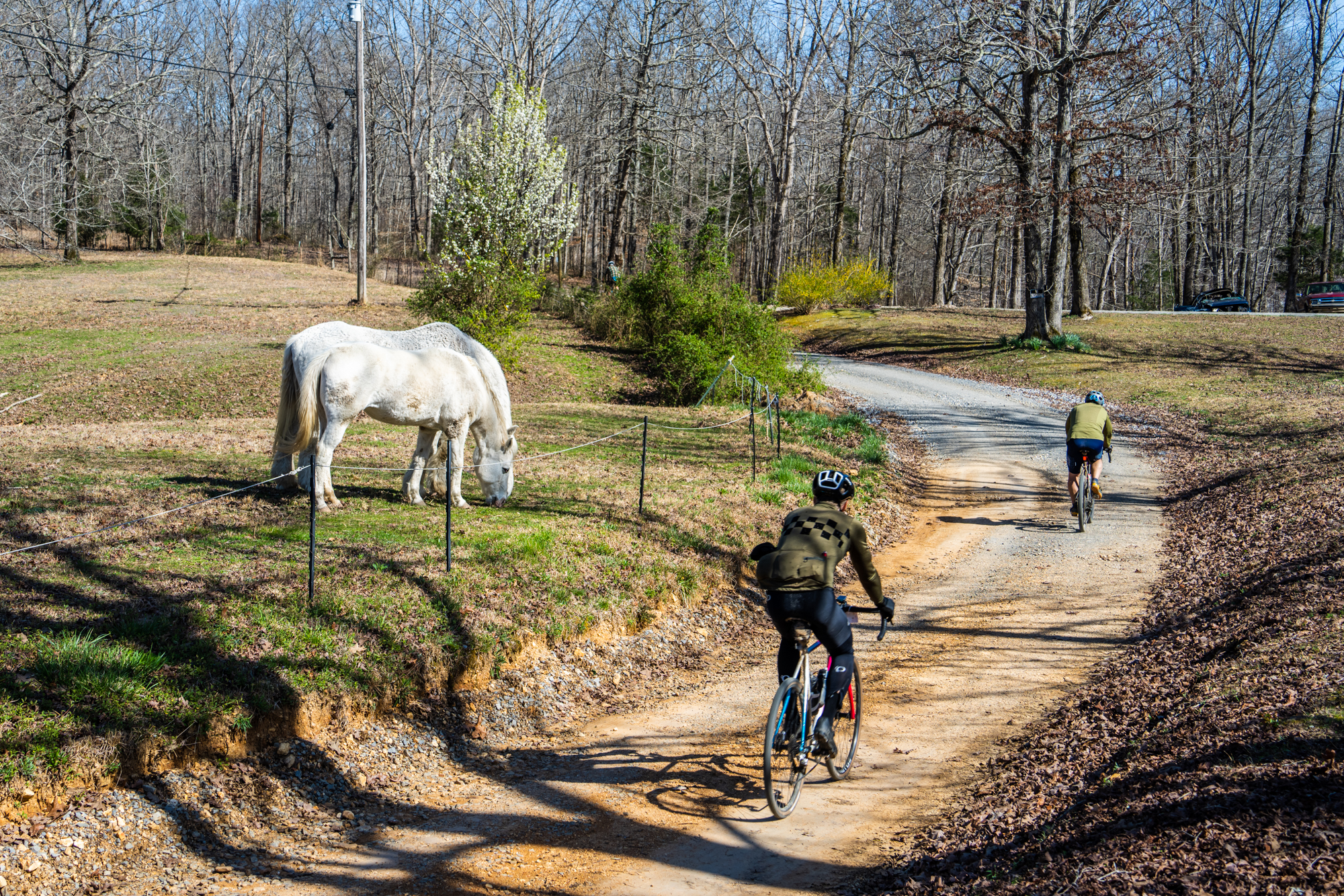 Gosh Darn Good Times in Hickman County, Tennessee: The 2022 Gosh Darn Gravel  Gathering – Michael Tregelles | The Radavist | A group of individuals who  share a love of cycling and the outdoors.
