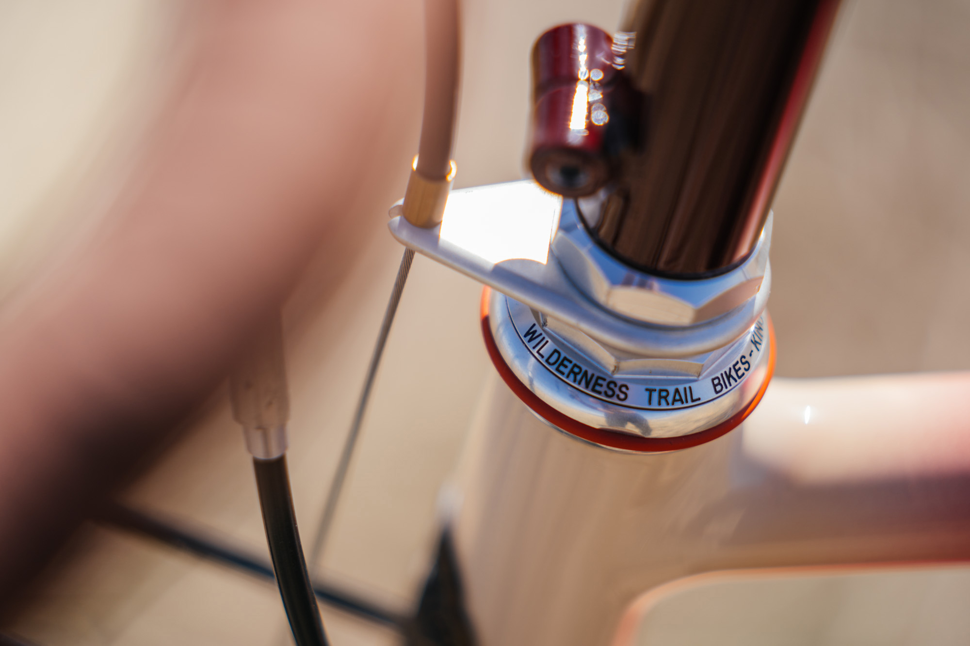 Vintage Bicycles: 1987 Steve Potts Signature – Tasshi Dennis & John ...