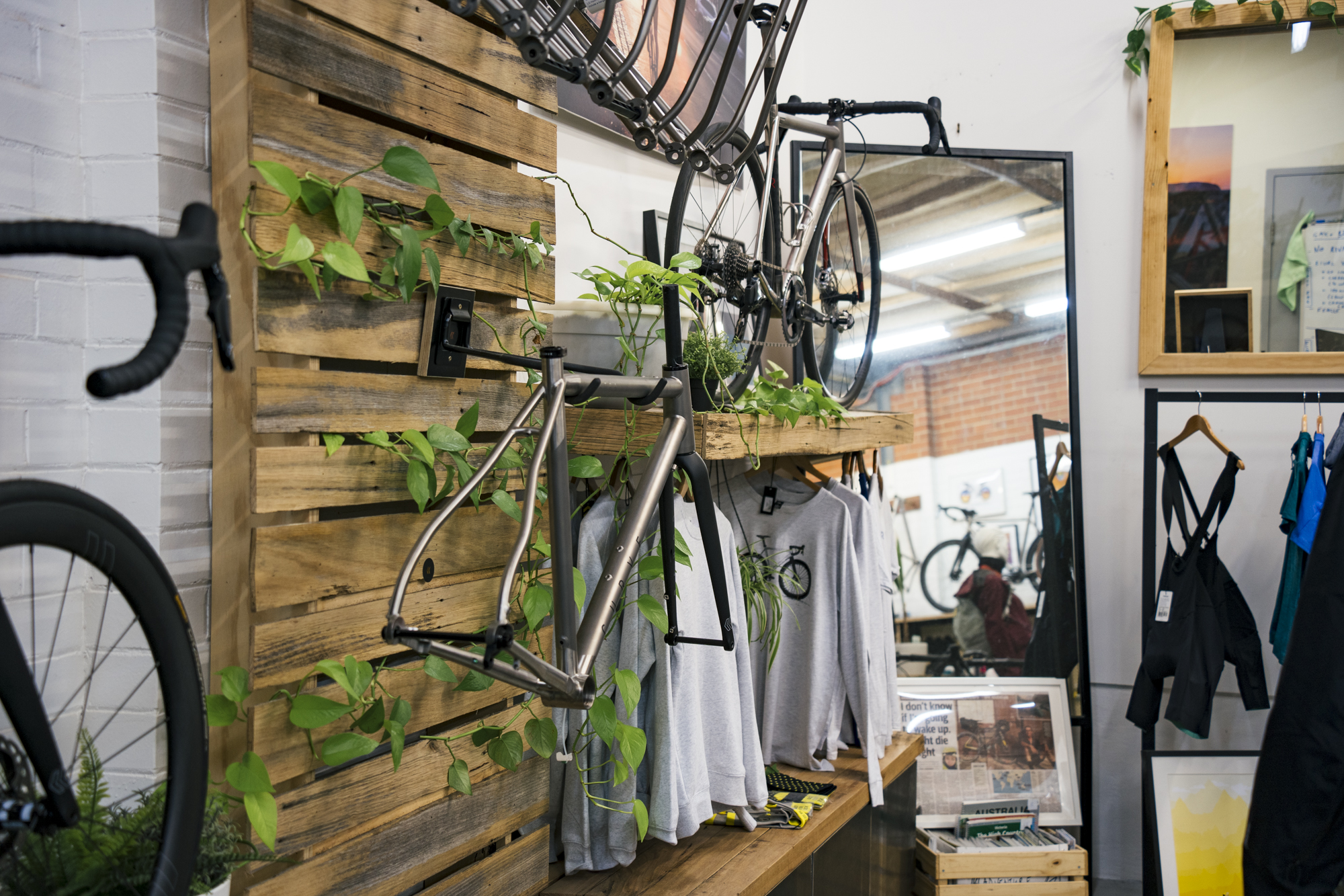 Inside the Adventure Dojo A Visit to Curve Cycling in