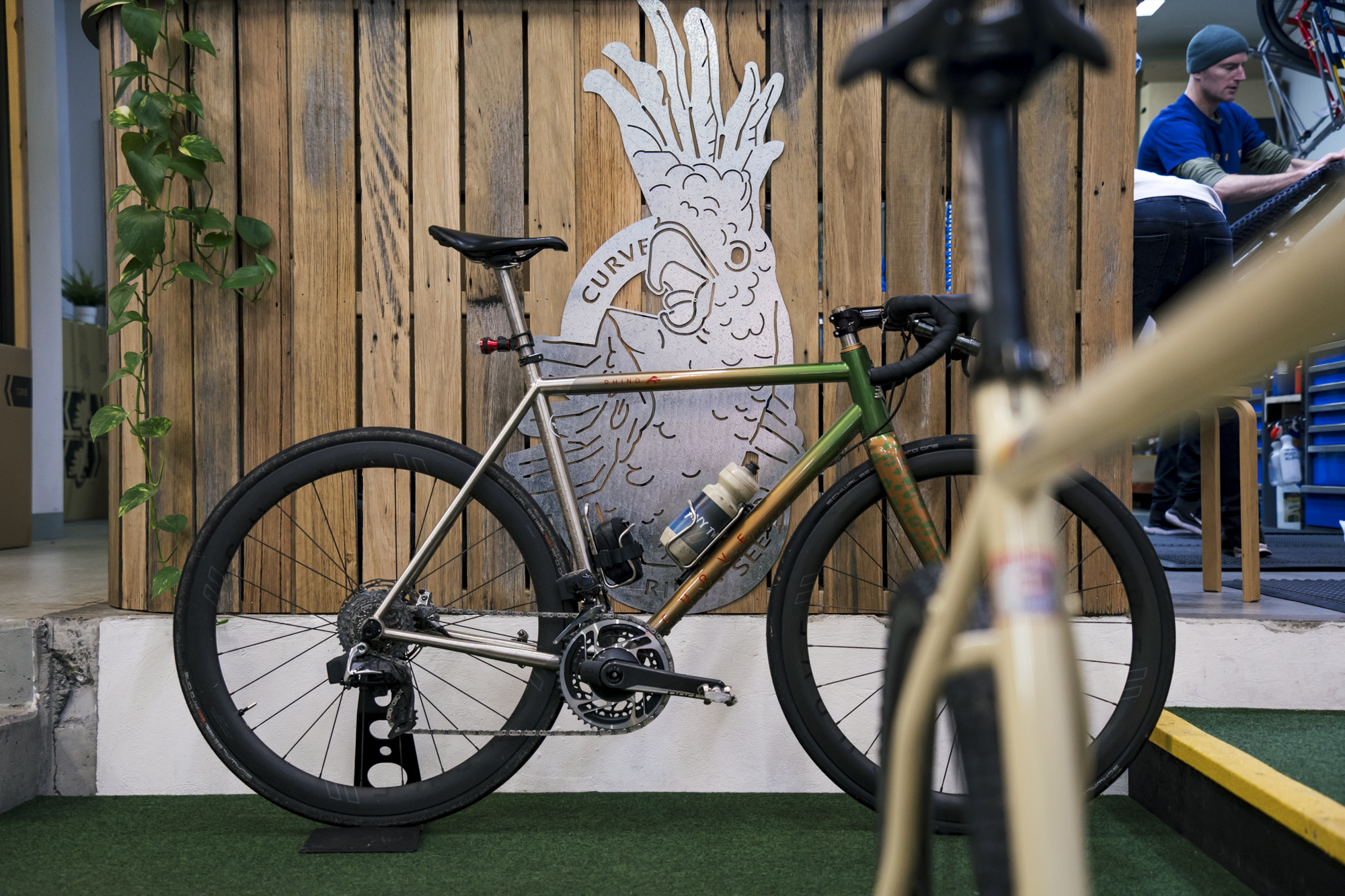 Curve titanium bikes shop