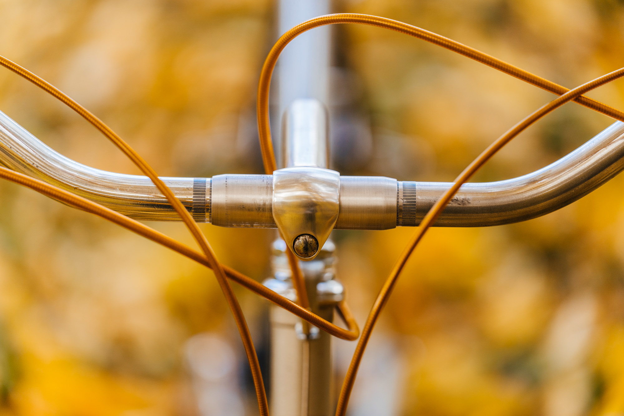 ビルベルギア John Hervy Friend Vintage Bikes Are Compounded Stories: John's 1980 No Serial