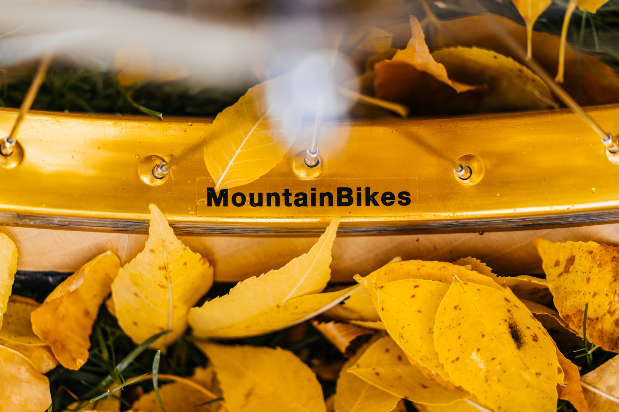 Radar Roundup: Tuloy Ang Laban Collection, 853 Cotic Escapade, Flat Top ...