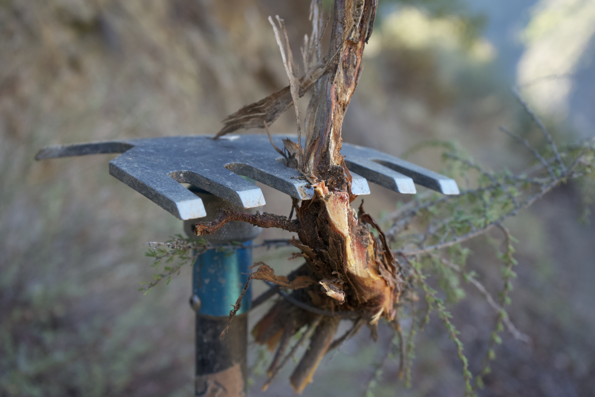 Meet the New Boss The Updated, MadeInHouse Trail Boss Hoe Rake Does