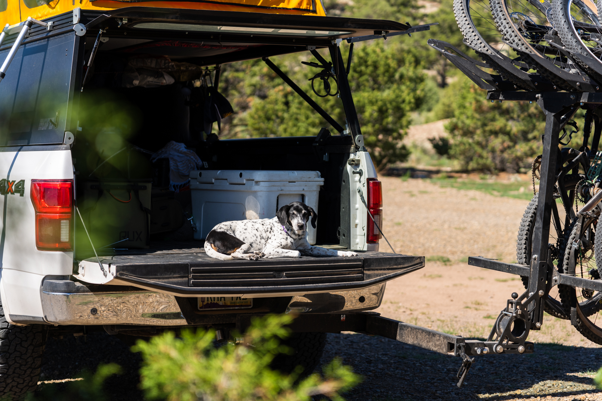 A Long-Term Review of the 1UP USA Recon 5 Bike Rack and RakAttach 2.0 ...