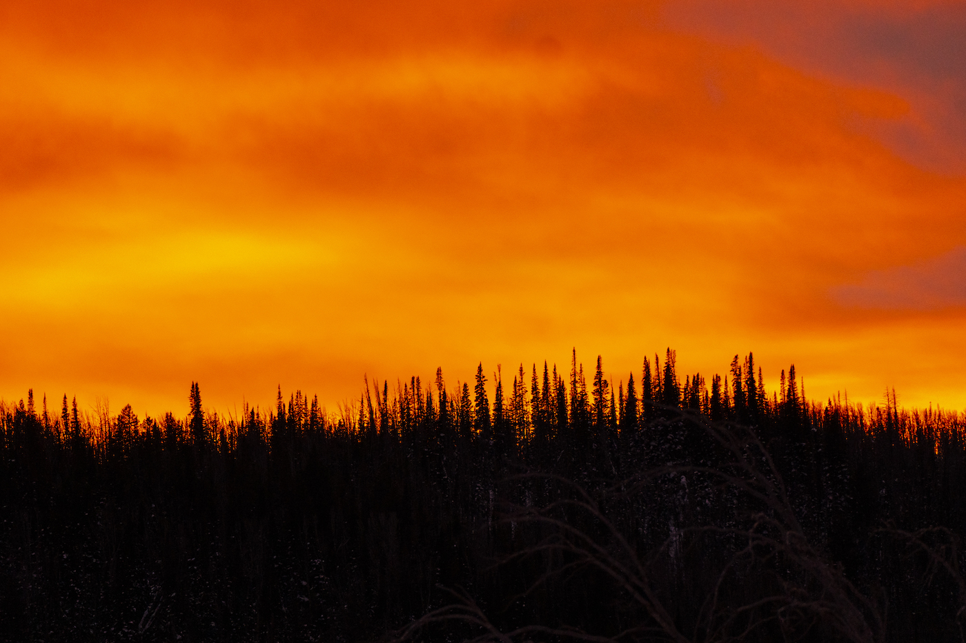 The Gamble of Winter Bikepacking in Wyoming’s Gros Ventre Kurt