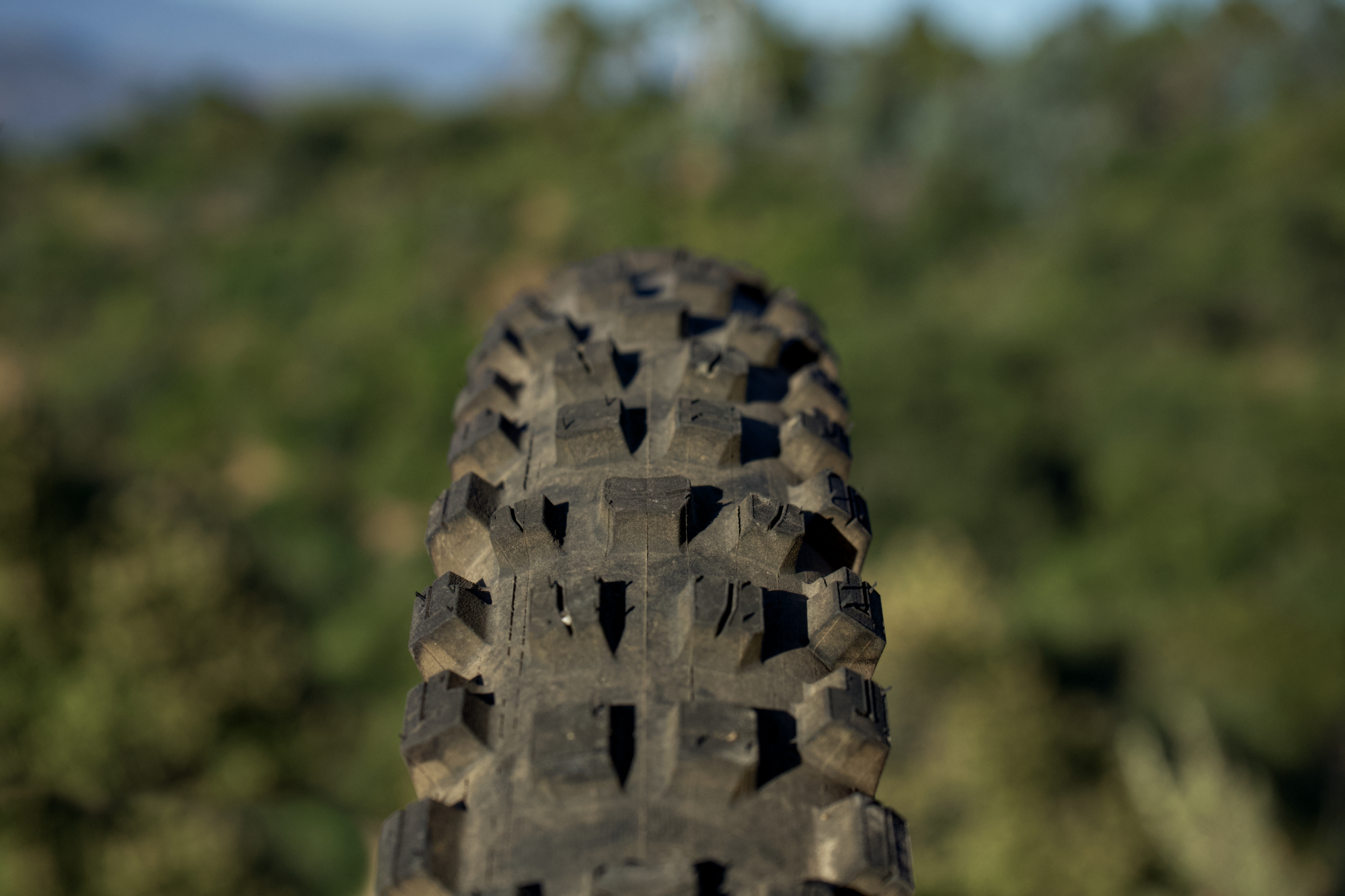 Sincerest Flattery Reviewing Maxxis Assegai Imitiations from American